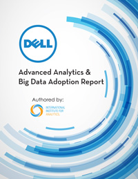 Advanced Analytics & Big Data Adoption Report
